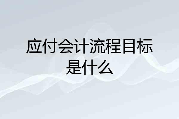 应付会计流程目标是什么