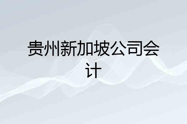 贵州新加坡公司会计