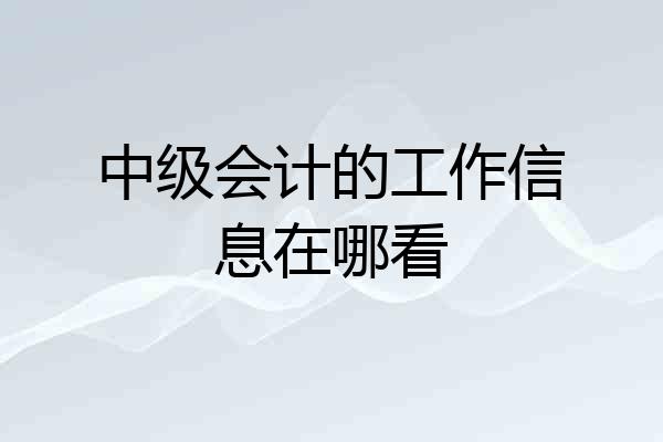 中级会计的工作信息在哪看