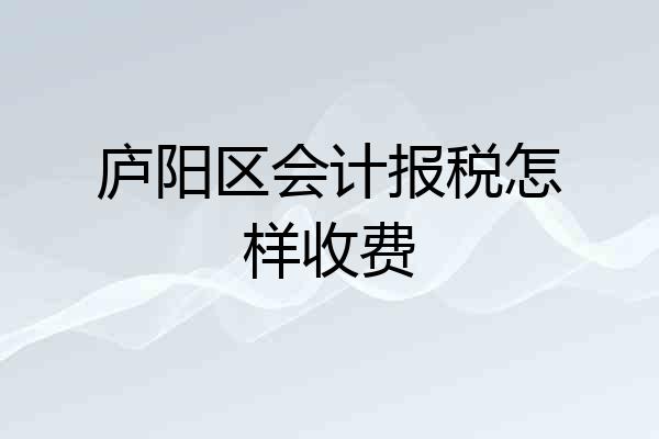 庐阳区会计报税怎样收费