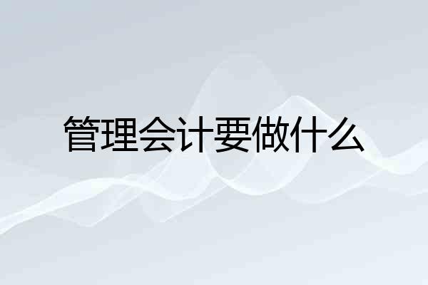 管理会计要做什么