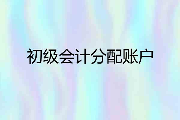 初级会计分配账户