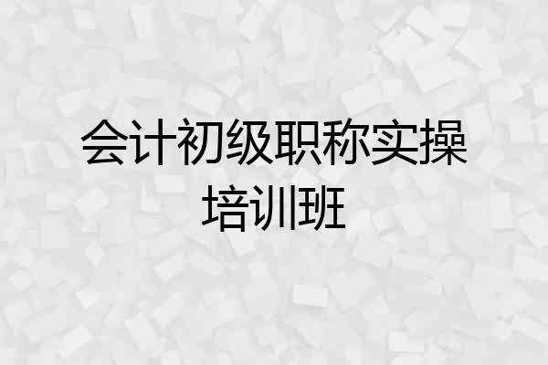 会计初级职称实操培训班