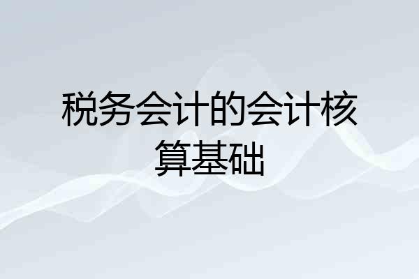 税务会计的会计核算基础