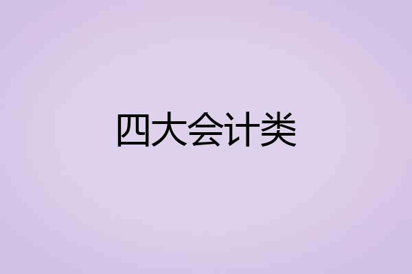 四大会计类