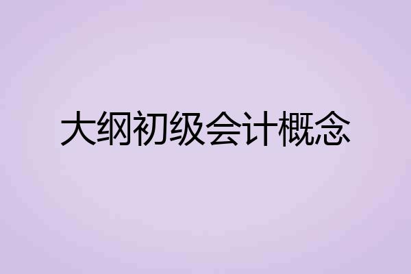大纲初级会计概念
