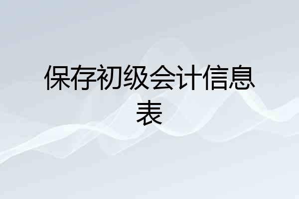 保存初级会计信息表