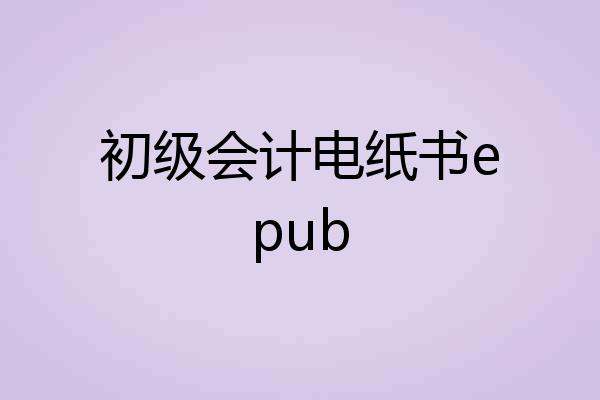 初级会计电纸书epub