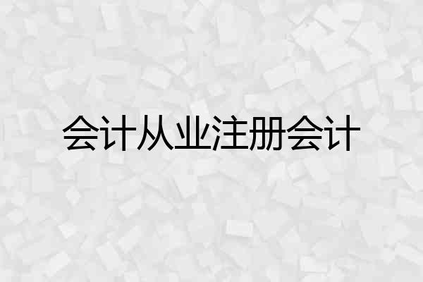 会计从业注册会计