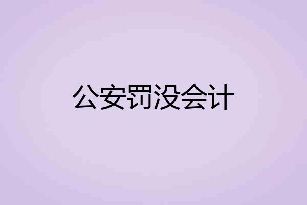 公安罚没会计