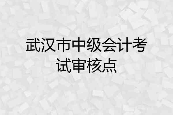 武汉市中级会计考试审核点