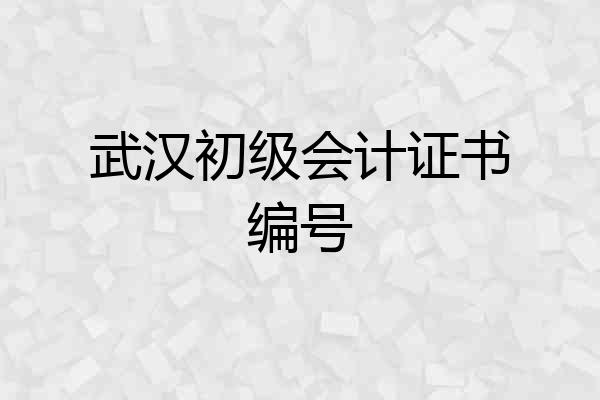 武汉初级会计证书编号