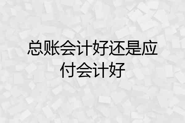 总账会计好还是应付会计好