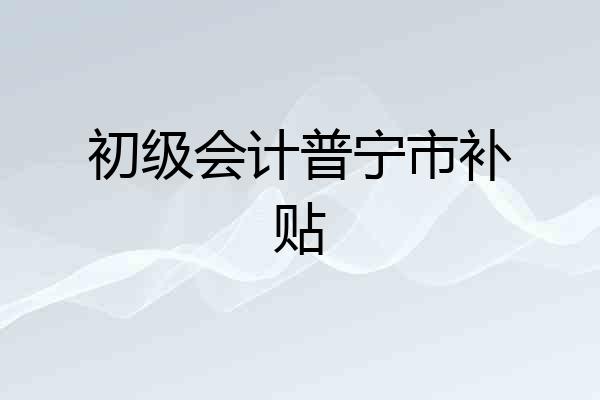 初级会计普宁市补贴