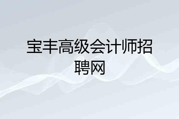 宝丰高级会计师招聘网