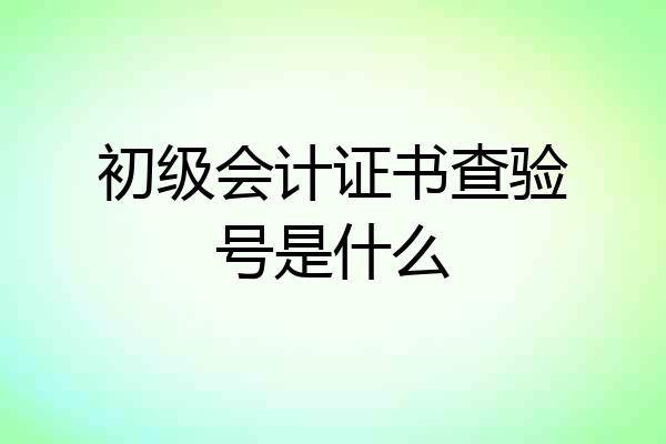 初级会计证书查验号是什么