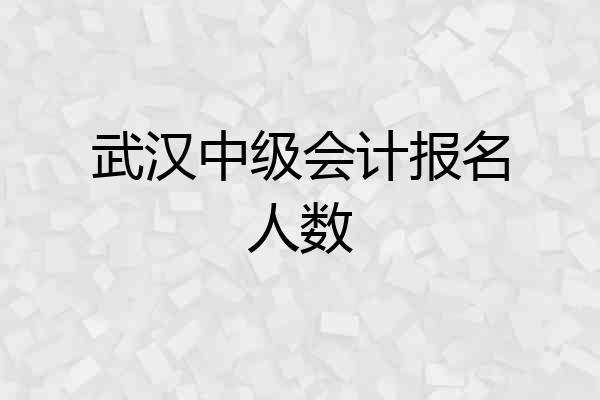 武汉中级会计报名人数