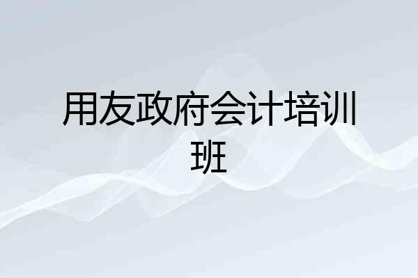 用友政府会计培训班