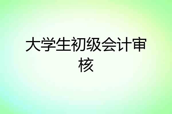 大学生初级会计审核