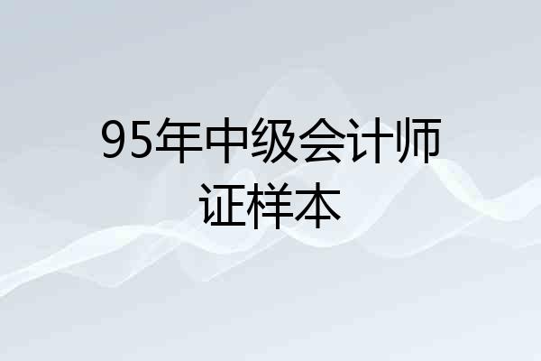 95年中级会计师证样本