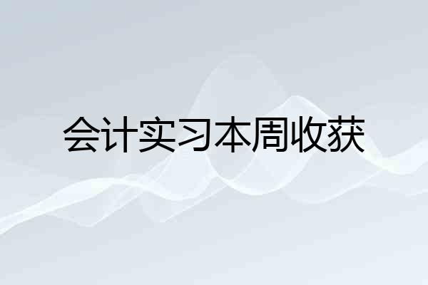 会计实习本周收获