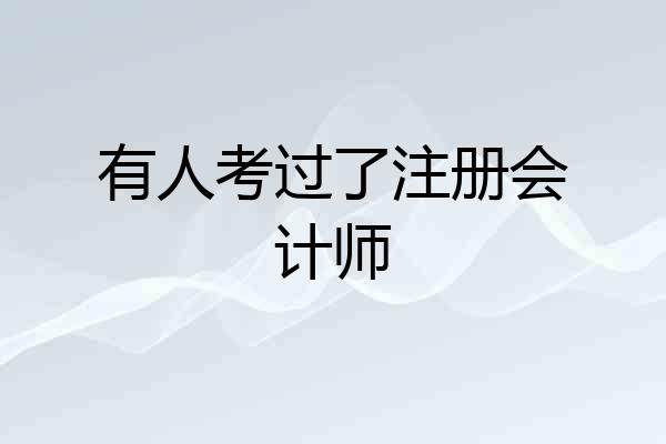 有人考过了注册会计师