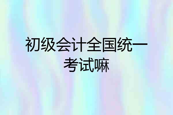 初级会计全国统一考试嘛
