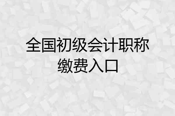 全国初级会计职称缴费入口