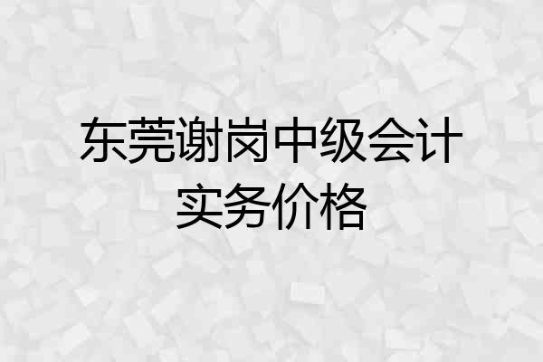 东莞谢岗中级会计实务价格