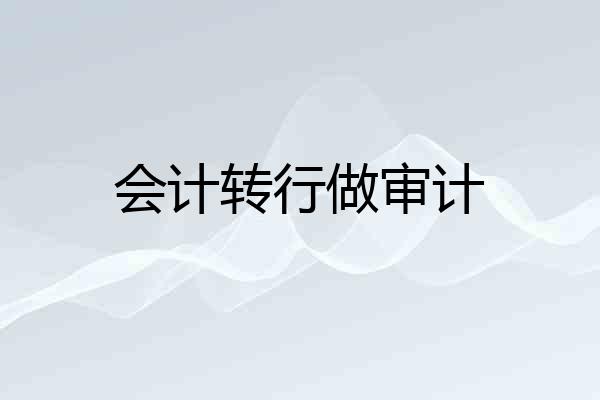 会计转行做审计