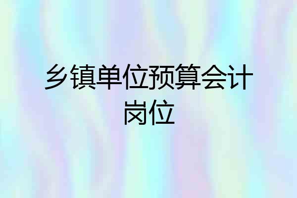 乡镇单位预算会计岗位