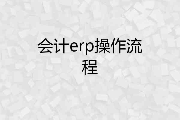 会计erp操作流程