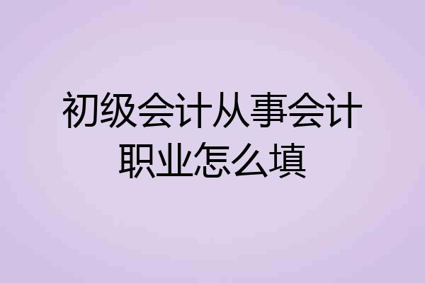 初级会计从事会计职业怎么填