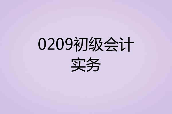 0209初级会计实务