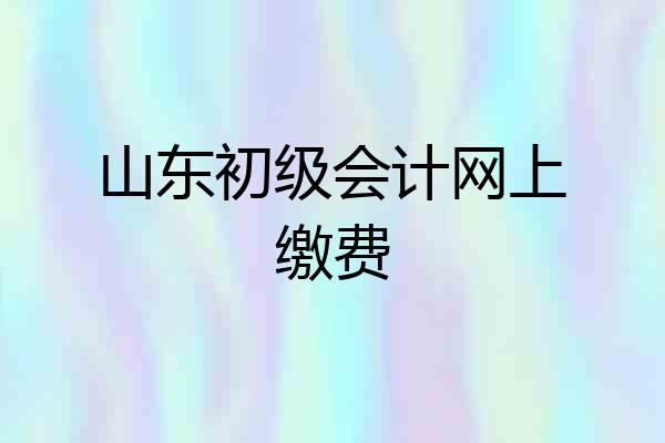 山东初级会计网上缴费