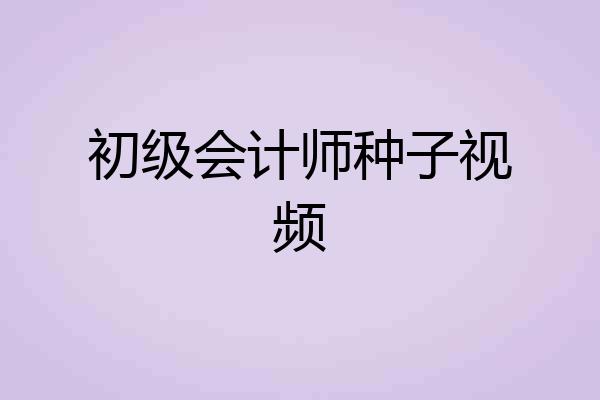 初级会计师种子视频