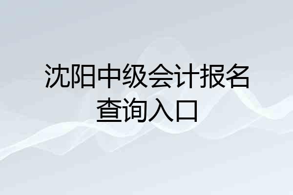 沈阳中级会计报名查询入口