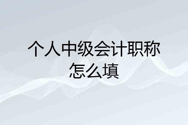 个人中级会计职称怎么填