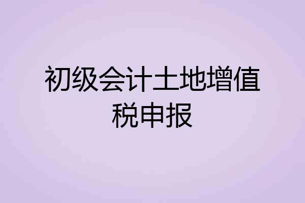初级会计土地增值税申报