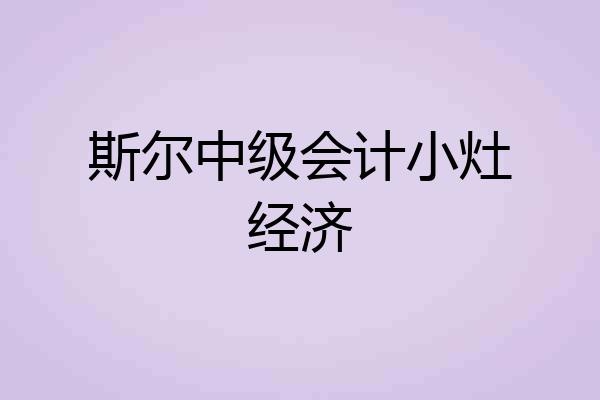 斯尔中级会计小灶经济