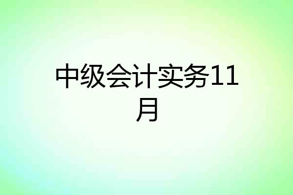 中级会计实务11月