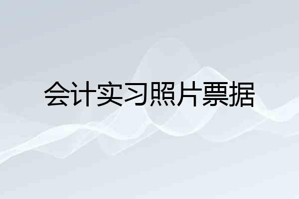 会计实习照片票据