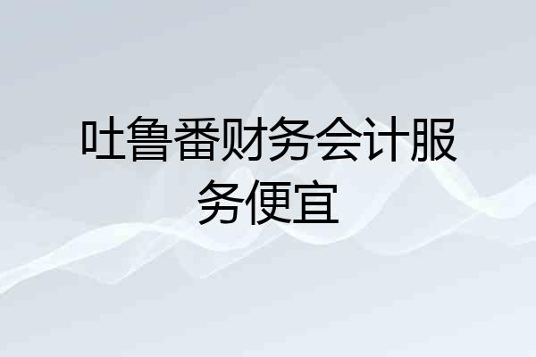 吐鲁番财务会计服务便宜
