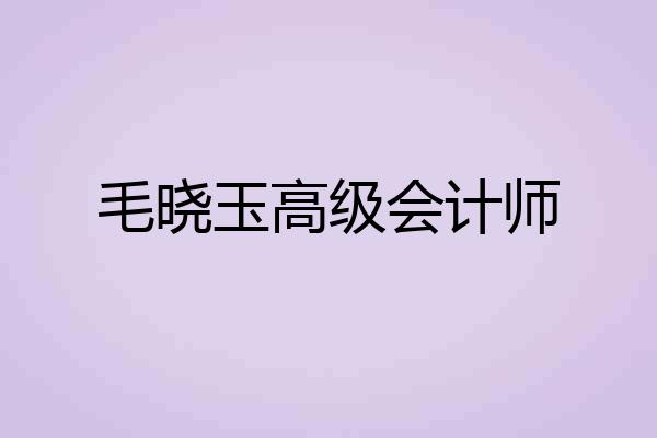毛晓玉高级会计师