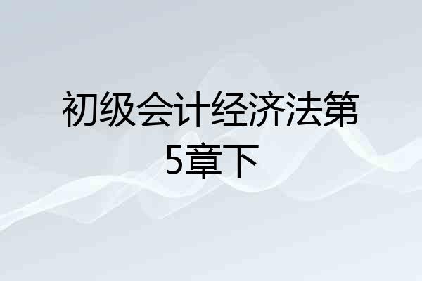 初级会计经济法第5章下