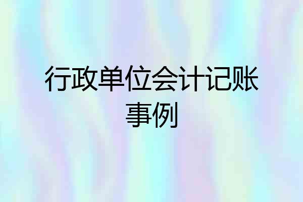 行政单位会计记账事例