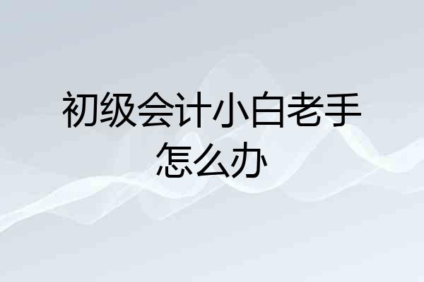 初级会计小白老手怎么办