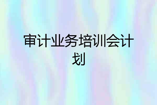 审计业务培训会计划