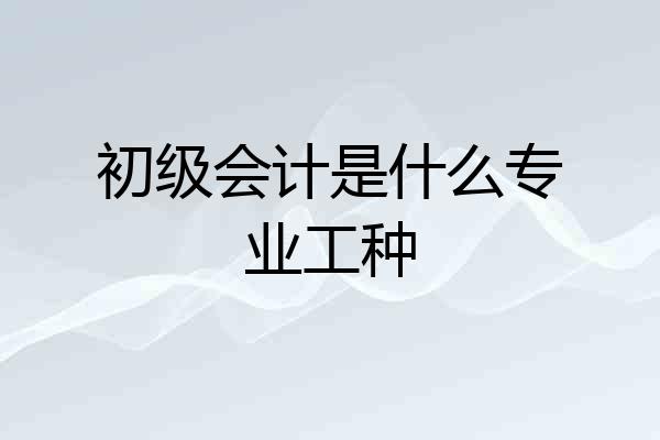 初级会计是什么专业工种