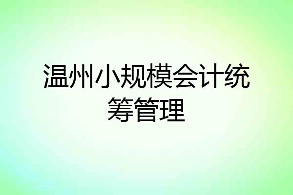 温州小规模会计统筹管理